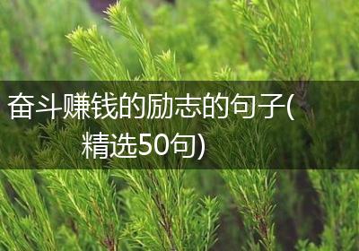 奋斗赚钱的励志的句子(精选50句)