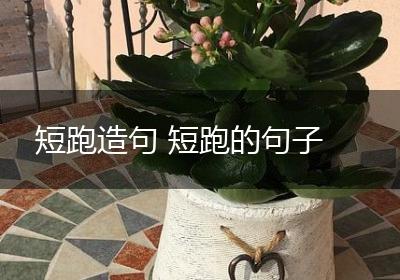 短跑造句 短跑的句子