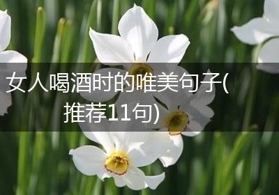 女人喝酒时的唯美句子(推荐11句)