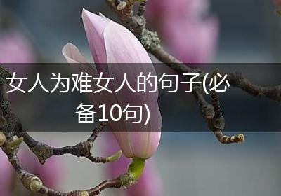 女人为难女人的句子(必备10句)