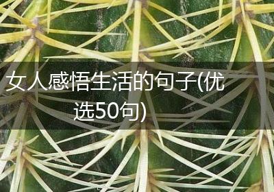 女人感悟生活的句子(优选50句)