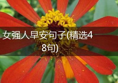 女强人早安句子(精选48句)
