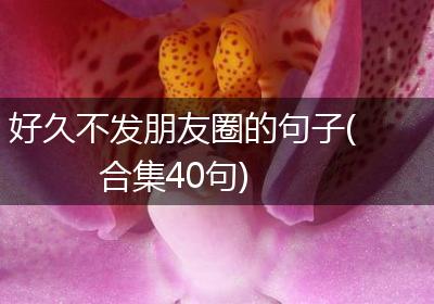 好久不发朋友圈的句子(合集40句)