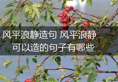 风平浪静造句 风平浪静可以造的句子有哪些