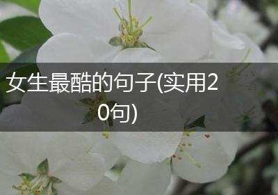 女生最酷的句子(实用20句)