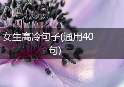 女生高冷句子(通用40句)