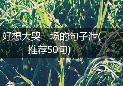 好想大哭一场的句子泄(推荐50句)
