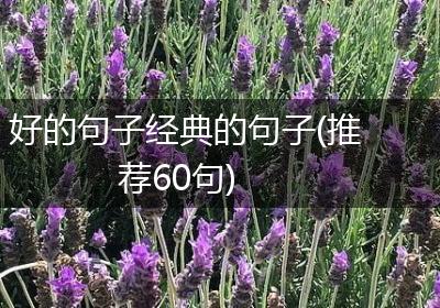 好的句子经典的句子(推荐60句)