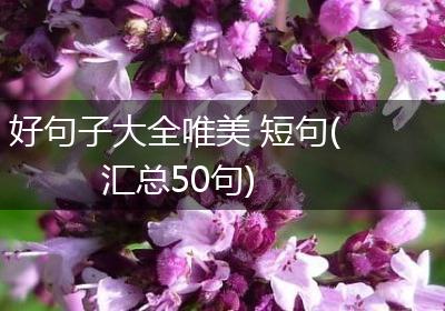 好句子大全唯美 短句(汇总50句)