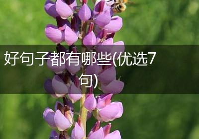 好句子都有哪些(优选7句)