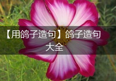 【用鸽子造句】鸽子造句大全