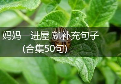 妈妈一进屋 就补充句子(合集50句)