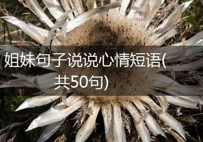 姐妹句子说说心情短语(共50句)