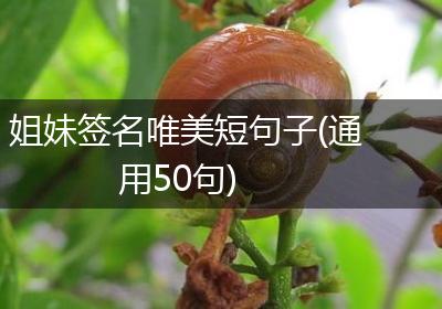 姐妹签名唯美短句子(通用50句)