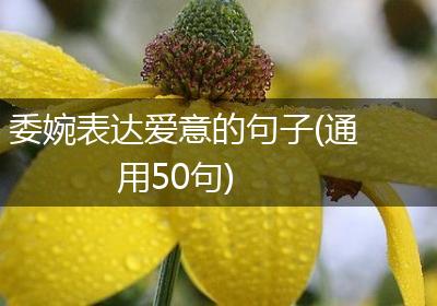 委婉表达爱意的句子(通用50句)