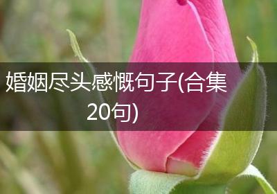 婚姻尽头感慨句子(合集20句)