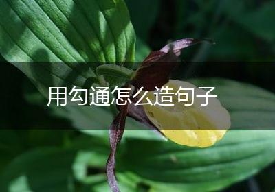 用勾通怎么造句子