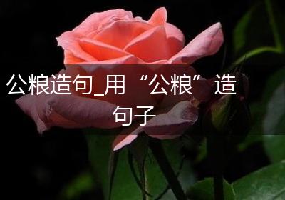 公粮造句_用“公粮”造句子