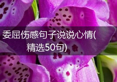 委屈伤感句子说说心情(精选50句)