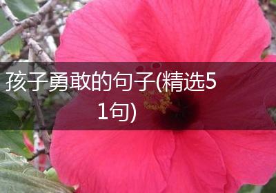 孩子勇敢的句子(精选51句)