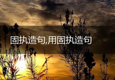 固执造句,用固执造句