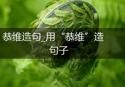 恭维造句_用“恭维”造句子