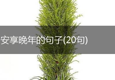 安享晚年的句子(20句)