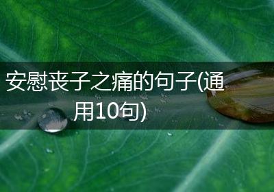 安慰丧子之痛的句子(通用10句)