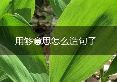 用够意思怎么造句子