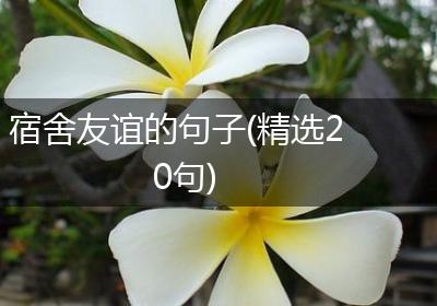 宿舍友谊的句子(精选20句)