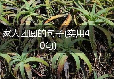 家人团圆的句子(实用40句)