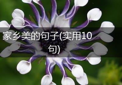家乡美的句子(实用10句)