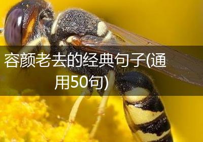 容颜老去的经典句子(通用50句)
