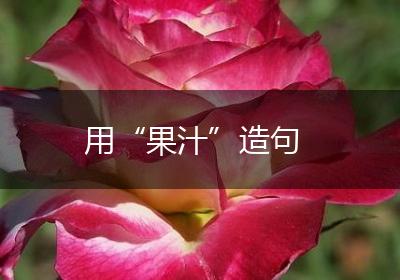 用“果汁”造句