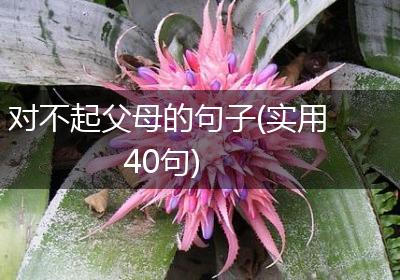 对不起父母的句子(实用40句)