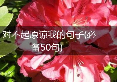 对不起原谅我的句子(必备50句)