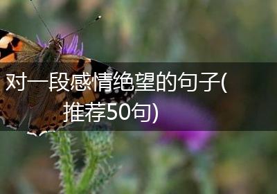 对一段感情绝望的句子(推荐50句)
