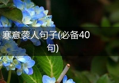寒意袭人句子(必备40句)