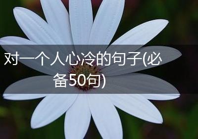 对一个人心冷的句子(必备50句)