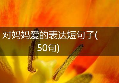 对妈妈爱的表达短句子(50句)