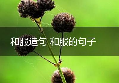 和服造句 和服的句子