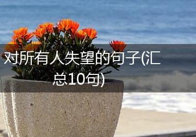 对所有人失望的句子(汇总10句)