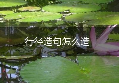 行径造句怎么造