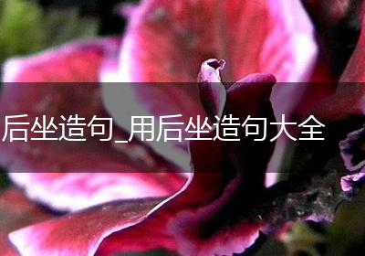 后坐造句_用后坐造句大全