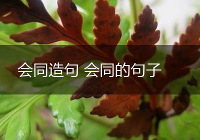 会同造句 会同的句子