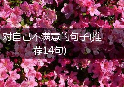 对自己不满意的句子(推荐14句)