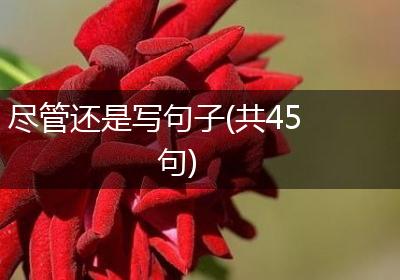 尽管还是写句子(共45句)