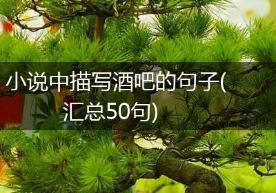 小说中描写酒吧的句子(汇总50句)