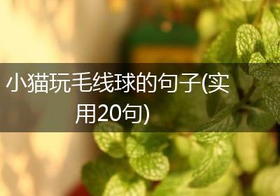 小猫玩毛线球的句子(实用20句)