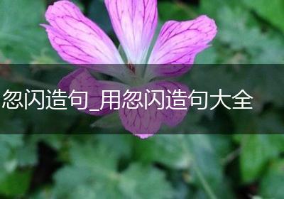 忽闪造句_用忽闪造句大全